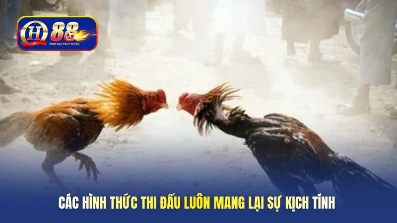 Các hình thức thi đấu luôn mang lại sự kịch tính 